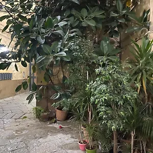 The Paradise House Apartment